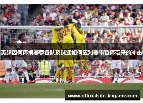英超因何停摆赛季各队及球迷如何应对赛事暂停带来的冲击