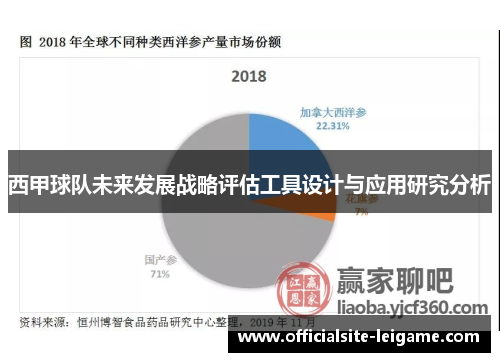 西甲球队未来发展战略评估工具设计与应用研究分析
