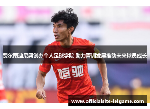 费尔南迪尼奥创办个人足球学院 助力青训发展推动未来球员成长